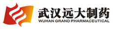 武汉远大制药集团有限公司